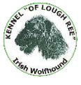 Irish Wolfhounds - Kennel of Lough ree